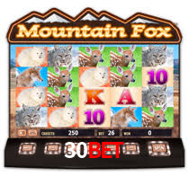 30bet